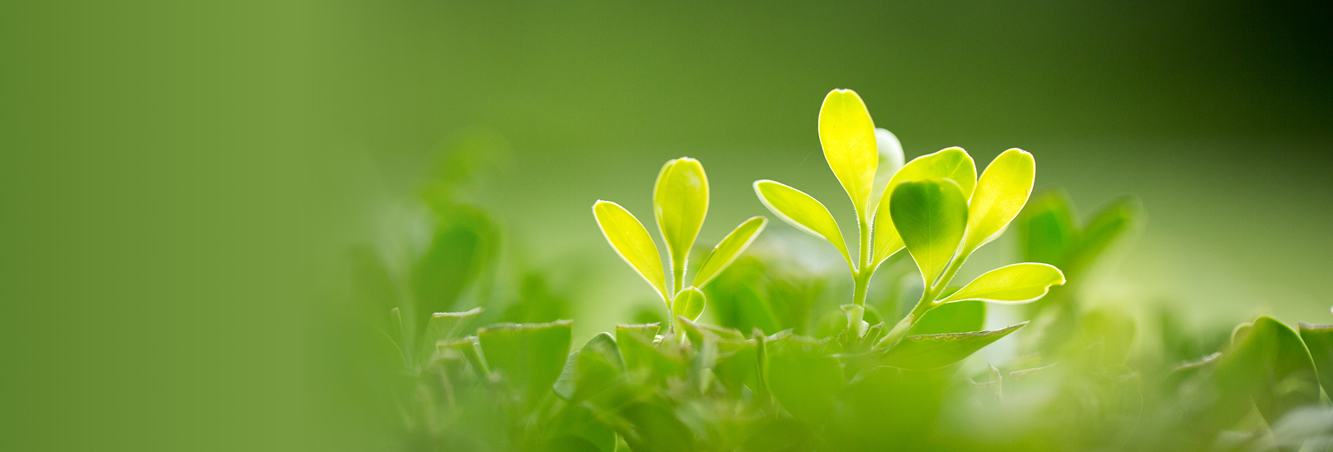 社會(huì)責(zé)任